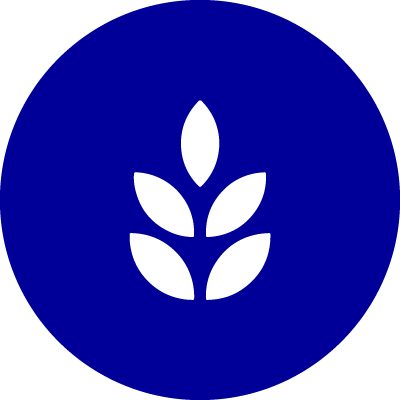 Digital Maturity Assessment